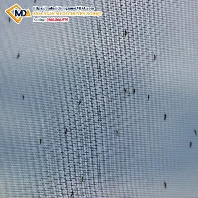 lưới chống muỗi fix inox
